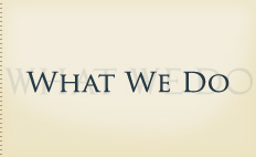 What We Do